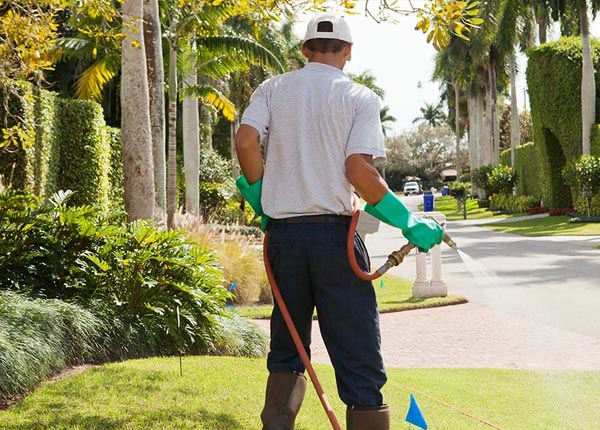 About Amlin OH Pest Control